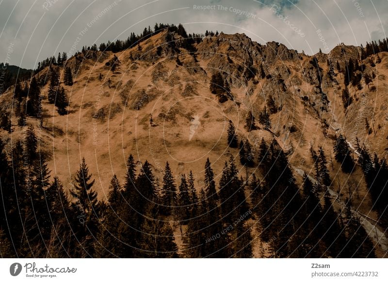 Mountain view | Bayrischzell | Soinsee outdoor soinsee Hiking bavarian cell Upper Bavaria Alps mountains Spring Peak Sky Clouds warm colors Idyll Sun