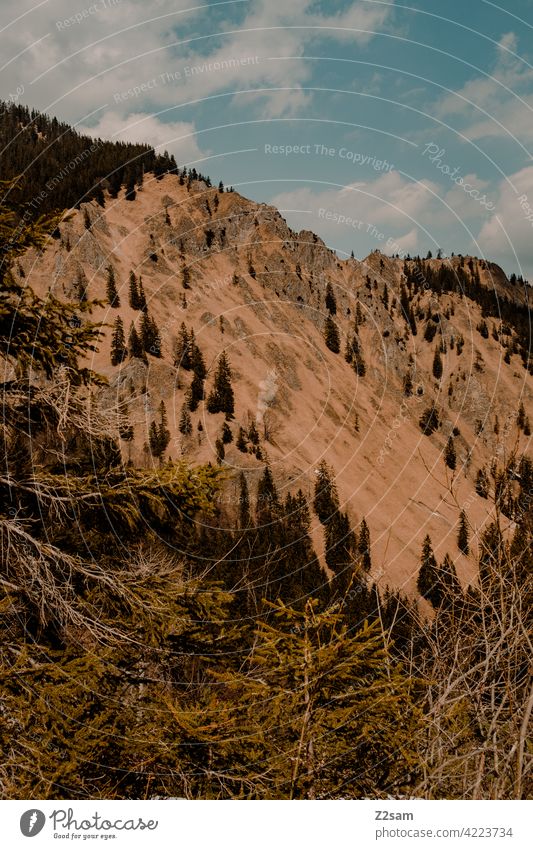 Mountain view | Bayrischzell | Soinsee outdoor soinsee Hiking bavarian cell Upper Bavaria Alps mountains Spring Peak Sky Clouds warm colors Idyll Sun