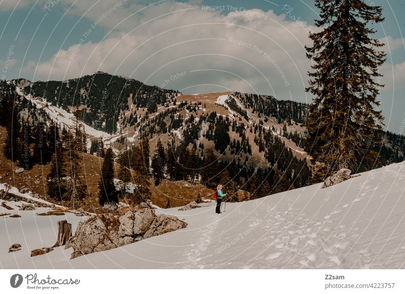 Hiker at the Soinsee in Upper Bavaria Pre-alpes closeness to nature outdoor Hiking Mountain Colour photo warm colors Landscape Alps Leisure and hobbies Contrast