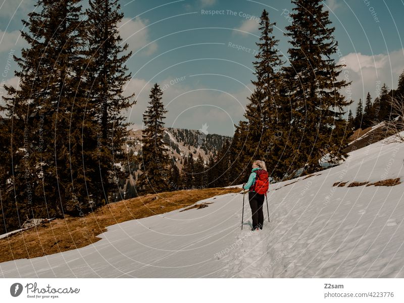 Hiker at the Soinsee in Upper Bavaria Pre-alpes closeness to nature outdoor Hiking Mountain Colour photo warm colors Landscape Alps Leisure and hobbies Contrast