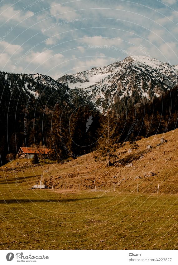 Mountain landscape Upper Bavaria | Bayrischzell Pre-alpes closeness to nature outdoor soinsee Hiking bavarian cell Alps mountains Spring Meadow Green off