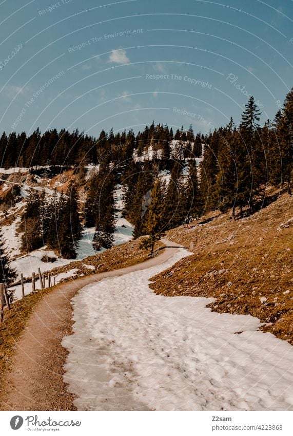 Hiking trail in the Upper Bavarian Alps | Soinsee closeness to nature outdoor soinsee bavarian cell mountains Spring Meadow Green off hiking trail cycle path