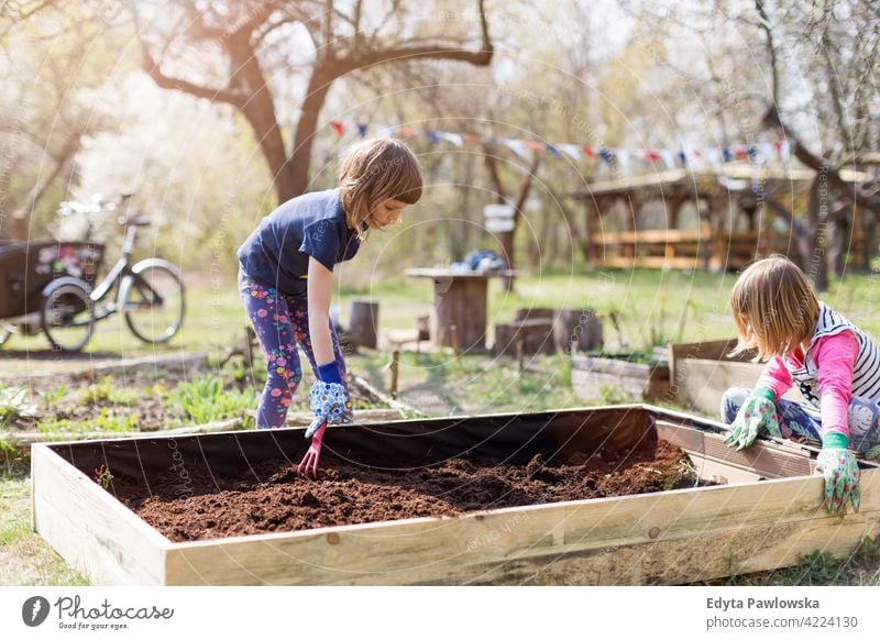 Two little girls gardening in urban community garden watering watering can urban garden environmental conservation sustainable lifestyle homegrown produce