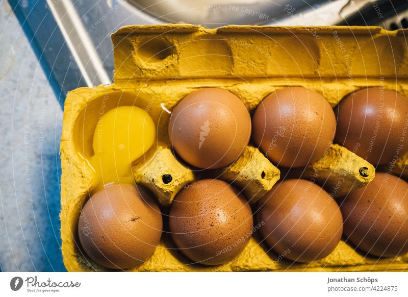 Eggs in the egg carton, one egg leaked Protein Organic Raw no people Kitchen Food Fresh Healthy Eggshell eggs Eating Carton Cardboard Close-up Container