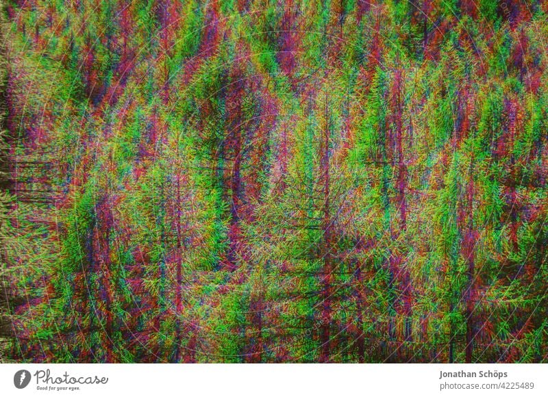 Coniferous trees in forest with glitch effect Forest Tree trunk Coniferous forest Nature Landscape Exterior shot Deserted Environment Colour photo Forestry