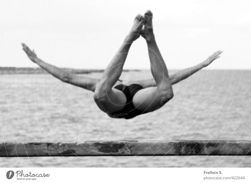 Drop me in the Water 1 Aquatics High diving Masculine Body Human being 18 - 30 years Youth (Young adults) Adults Beach Baltic Sea Sea bridge Swimming trunks