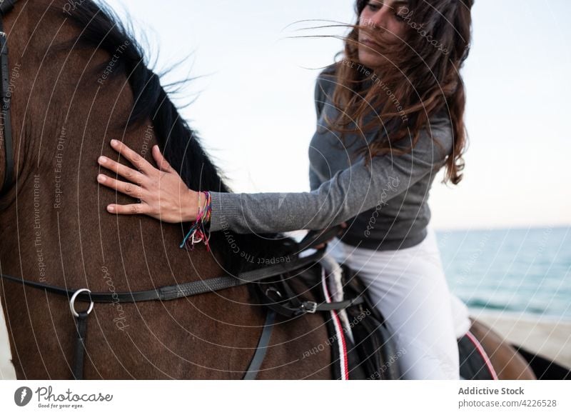 Woman riding stallion on ocean coast against mountain woman horseback animal equine grace nature ride beach sea highland weekend sky charming idyllic dust fast