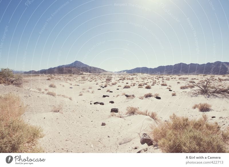 desert Environment Nature Landscape Plant Sand Sky Cloudless sky Sun Summer Warmth Drought Desert Far-off places Hot Dry Scrap metal Tire Subdued colour