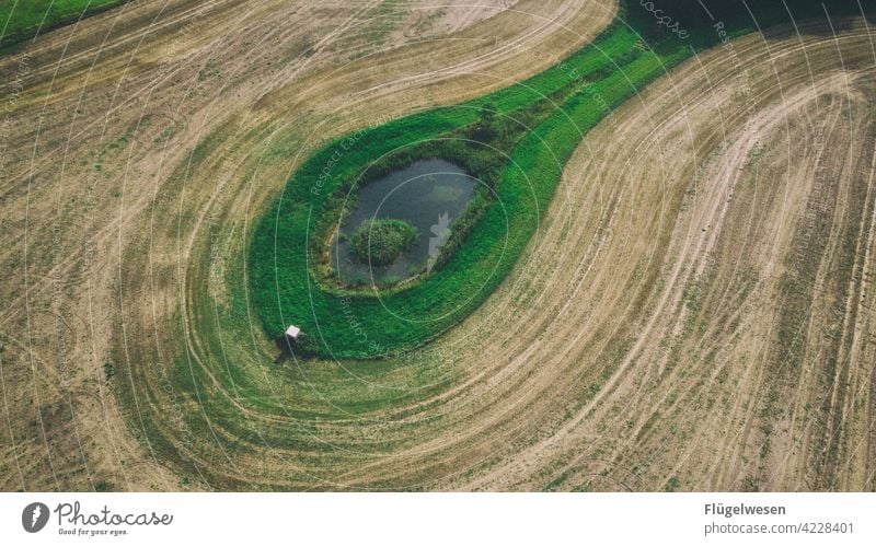 from above Field Crops Margin of a field Working in the fields off the beaten track Black Forest mountain field flora field economy Meadow Meadow flower