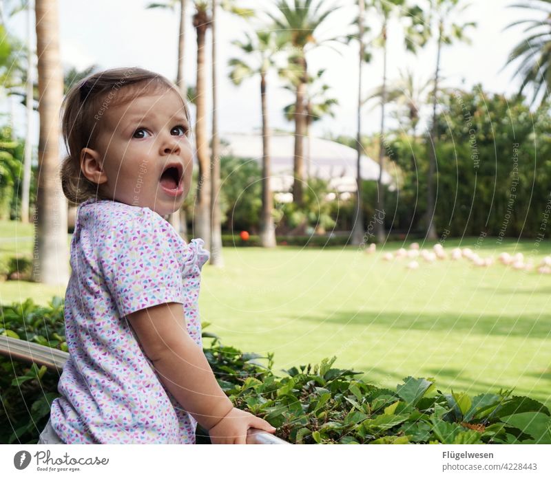 Yawn manipulated Child Parenting Infancy Girl Portrait of a young girl Girl`s face Spring Walking Playing Effortless Palm tree vacation Vacation mood