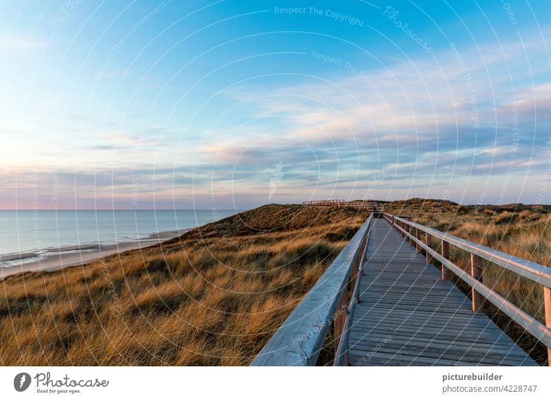 Wooden footbridge on the dunes by the sea Spring Ocean North Sea Beach Sylt Sky Clouds colors Sunrise Sunset Horizon Footbridge Vanishing point Blue