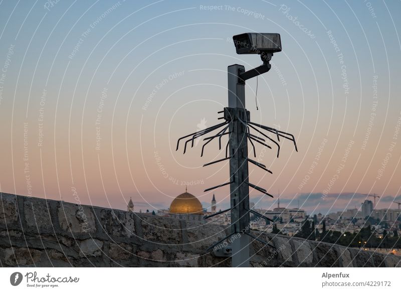 Jerusalem I West Jerusalem palaestine Exterior shot Colour photo East Jerusalem Religion and faith Landmark Temple Mount Dome of the rock Tourist Attraction