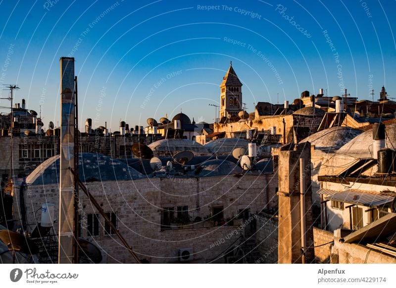 Jerusalem West Jerusalem palaestine Exterior shot Colour photo East Jerusalem Religion and faith Landmark Temple Mount Dome of the rock Tourist Attraction