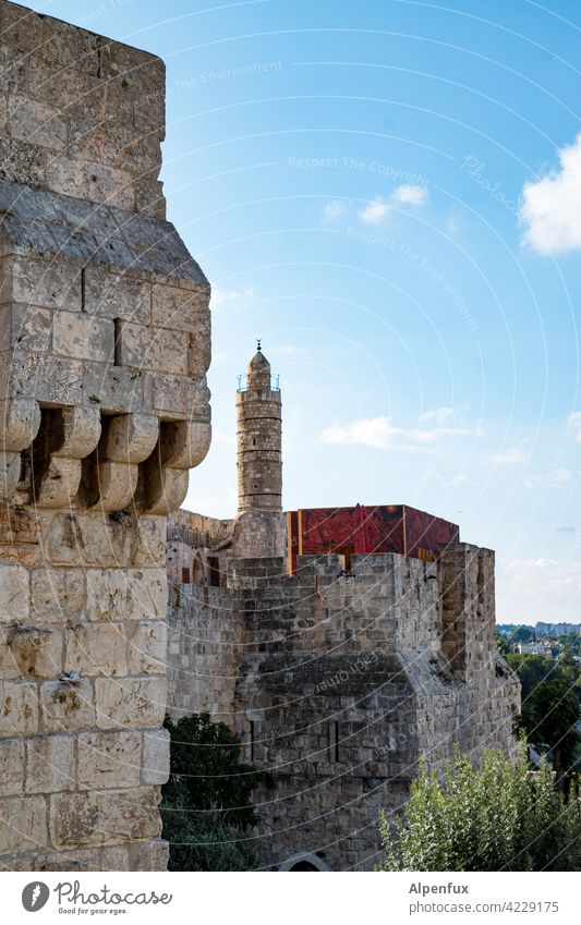 Jerusalem West Jerusalem palaestine Exterior shot Colour photo East Jerusalem Religion and faith Landmark Temple Mount Dome of the rock Tourist Attraction