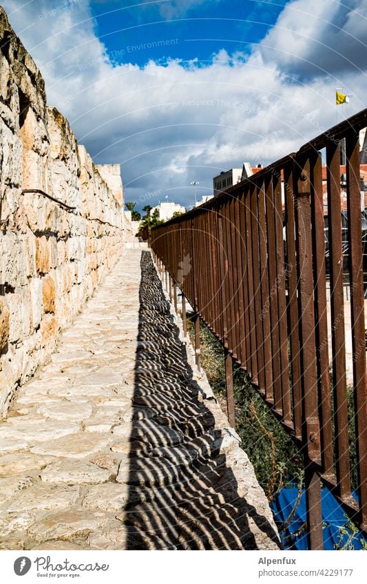 Stories from the Middle East fence West Jerusalem palaestine Exterior shot Colour photo East Jerusalem Religion and faith Landmark Temple Mount Dome of the rock