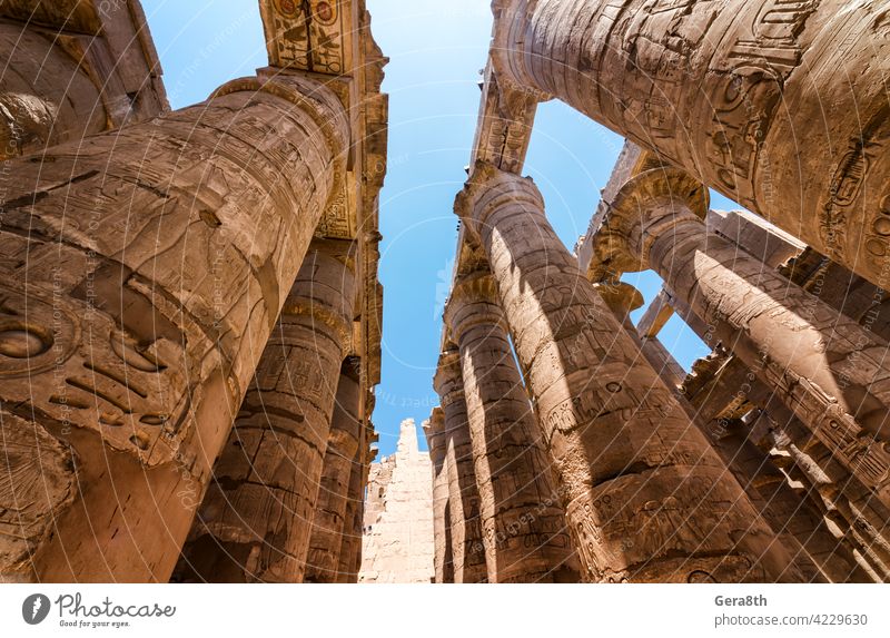 antique statue in the pillared hall in Luxor in Egypt Africa Egyptian ancient architecture authentic blue building cairo close close up color column culture day