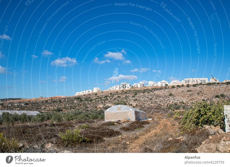 God-given land palaestine Settlement construction Israel west Bank Exterior shot dwell Build House (Residential Structure) settlement Colour photo illicit