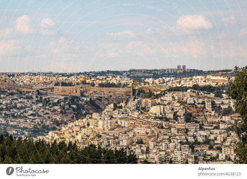 Jerusalem West Jerusalem palaestine Exterior shot Colour photo East Jerusalem Religion and faith Landmark Temple Mount Dome of the rock Tourist Attraction