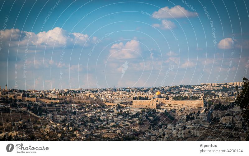 Jerusalem II West Jerusalem palaestine Exterior shot Colour photo East Jerusalem Religion and faith Landmark Temple Mount Dome of the rock Tourist Attraction