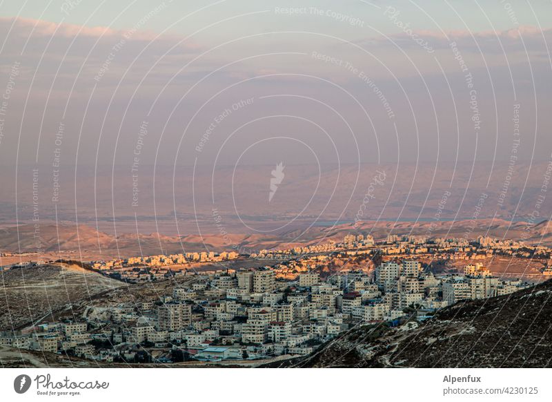 Living view to the Dead Sea West Jerusalem palaestine Exterior shot Colour photo East Jerusalem Religion and faith Landmark Tourist Attraction Israel Deserted