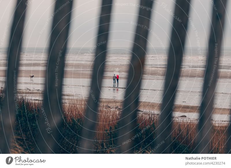 Beach with two persons and a dog on the opal coast through a fence sea ocean shore coastline sky grass wild herbs nature seashore water landscape scenery