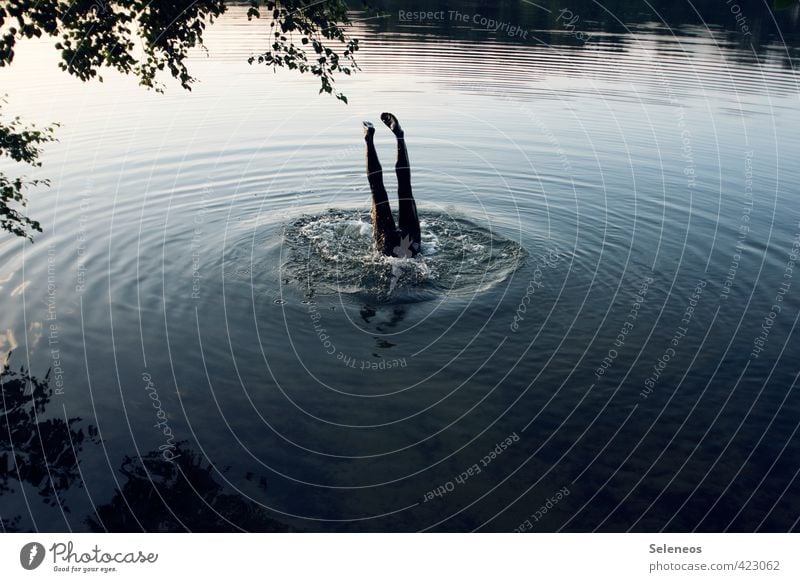 big fish Trip Adventure Summer Waves Human being Legs Feet 1 Environment Nature Landscape Water Plant Tree Coast Lakeside River bank Swimming & Bathing Jump Wet