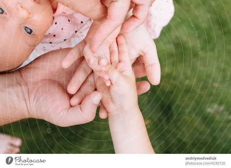 Hands of the whole family. Hands of mom, dad and children. Four hands of the family. The concept of unity, support, protection and happiness. together love team