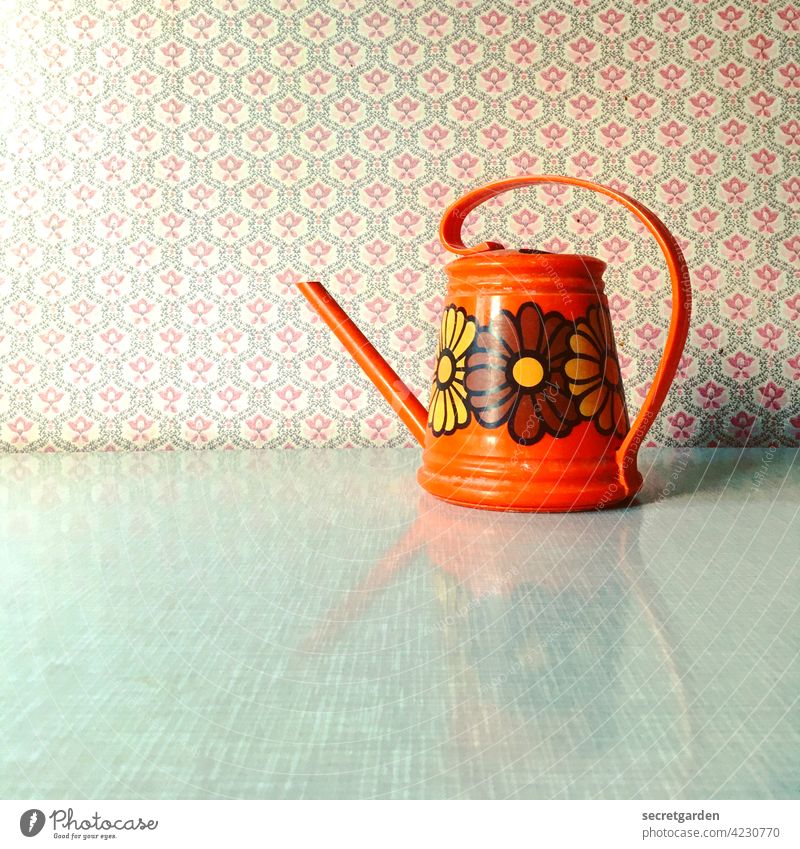 Retrospective. Watering can retro style Retro Colours Decoration Colour photo Design Style Interior shot Flower Close-up Blossom Studio shot Background picture