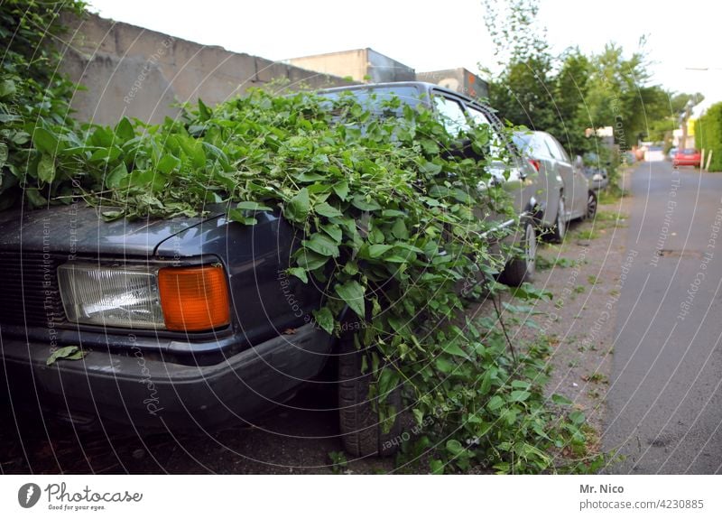 urban jungle Parking lot car Old Overgrown Forget Wrecked car scrappage bonus household trash wreck Lanes & trails Street Car Weed Means of transport Vehicle