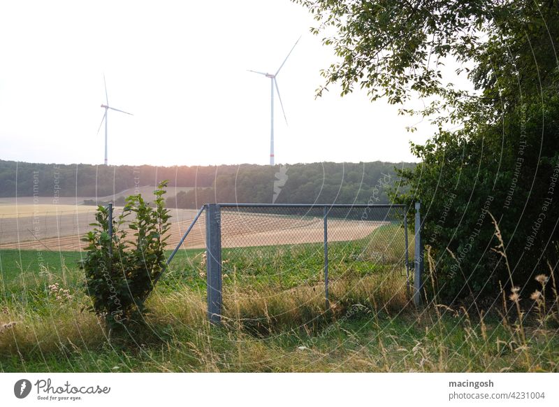 Sunrise with wind turbines Wind energy plant wind power Renewable energy Climate Climate change Energy industry Environment Electricity Pinwheel