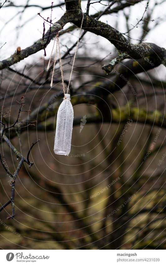 Empty plastic bottle hanging from a tree Nature Environmental pollution Colour photo plastic waste Deserted nobody Recycling Environmental protection