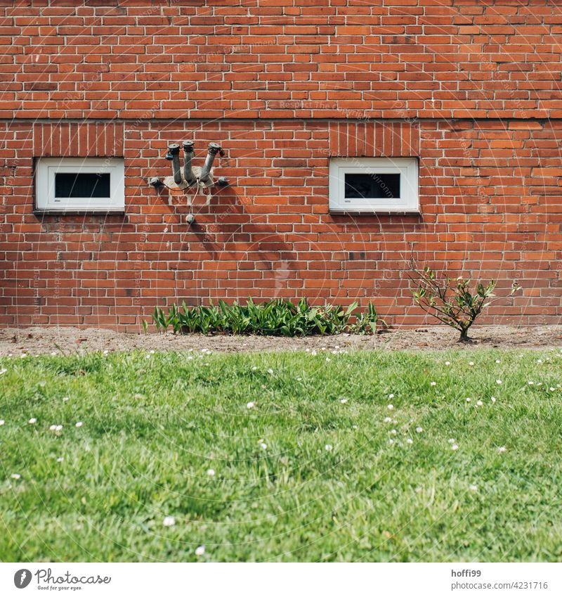 Green lawn and tulip bed in front of red stone facade with two windows and various oil fillers - the face of the house exterior facade House face