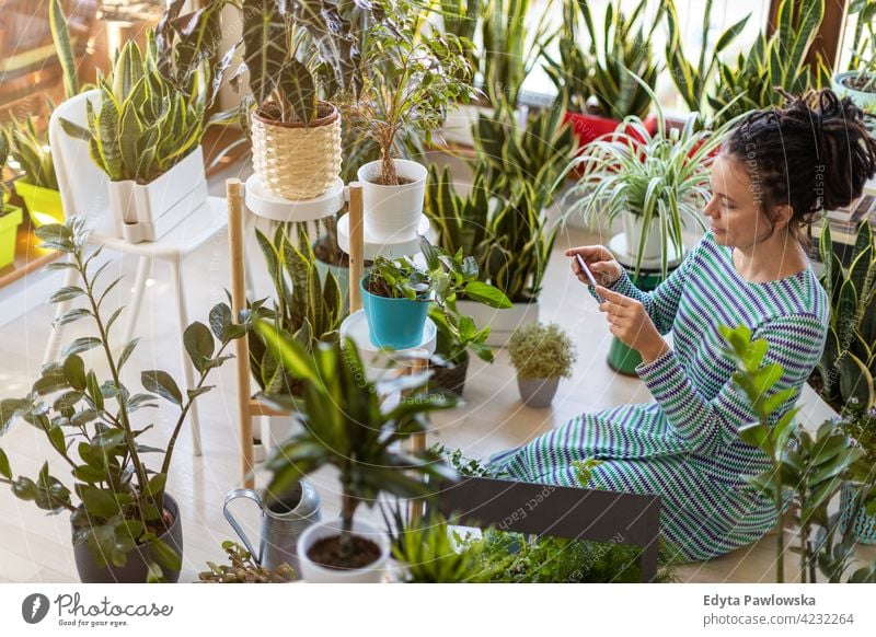 YoWoman taking photo of potted plant with her smartphone floristry care healthy blossom horticulture flora botanical decoration botany grow growing fresh leaf