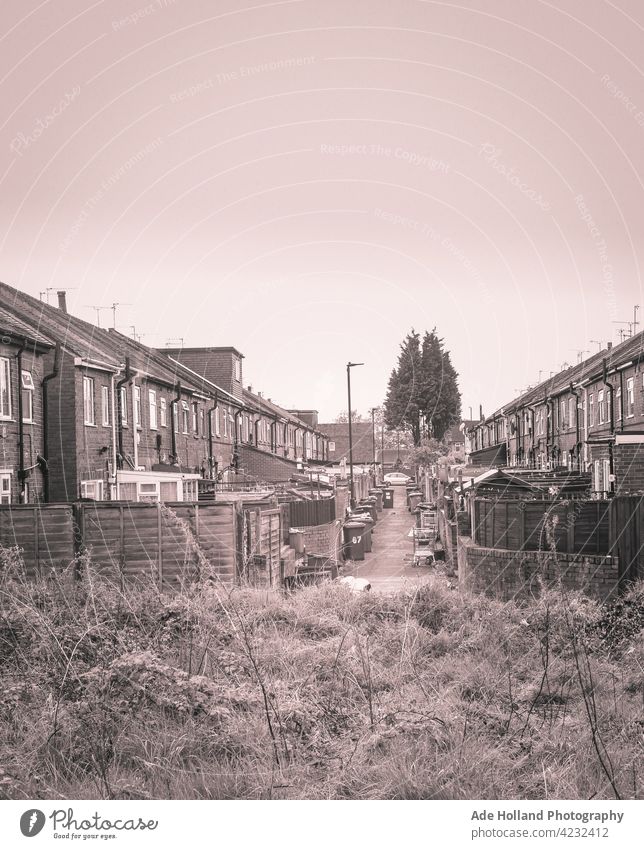 Early morning suburban street view Alley Street alleyway Shopping Trolley detritus Suburb Urbanization Supermarket Consumption Metal