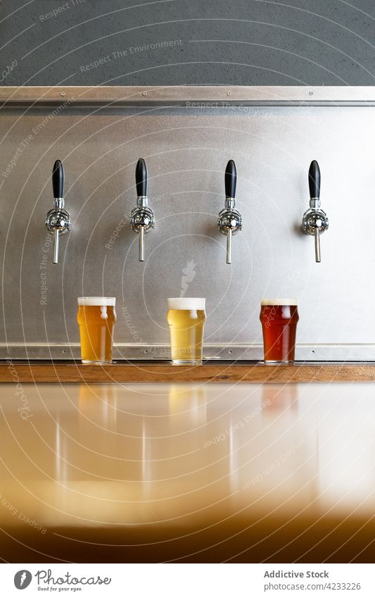 Assorted types of beer in mugs under taps in pub jug alcohol beverage drink foam table assorted natural bar brasserie wooden material glass transparent alehouse