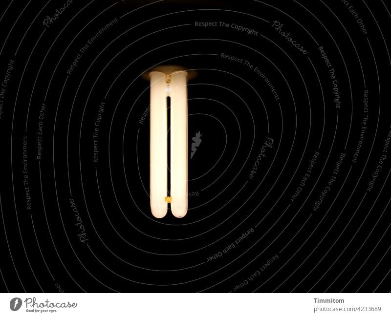 Permanent light bulb | old energy saving light bulb light sources Save energy aged Energy Light Lighting Old light and dark evergreen bring light into the dark