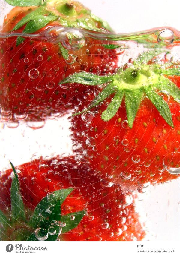 3 strawberries Red Green Style Vitamin Healthy Fresh Wet Damp Nutrition White Underwater photo Touch Near Sense of taste Delicious Beverage Mineral water Picked