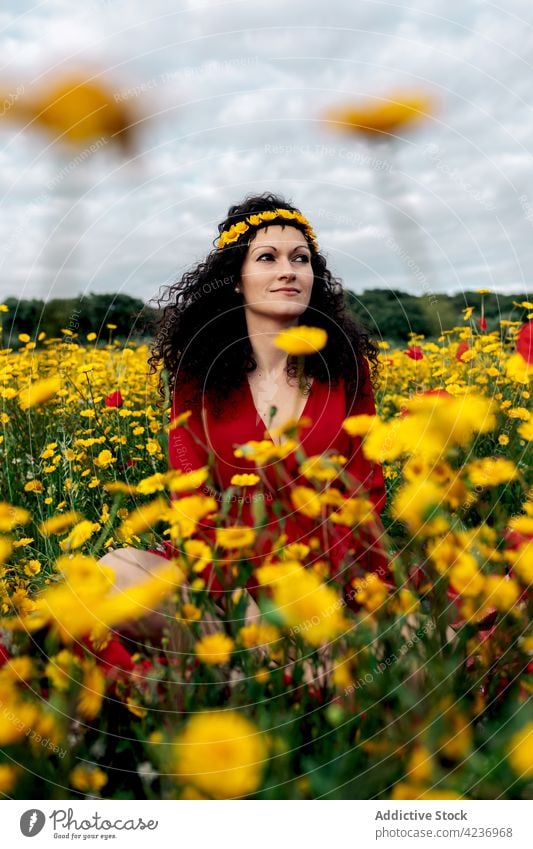 Stylish woman standing on blooming daisy field happy smile style nature flower meadow countryside delight flower crown feminine summer harmony flora blossom