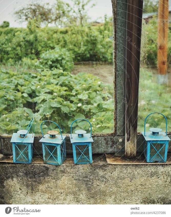 Blurred view Colour photo light Old silent Deserted Mysterious Greenhouse Garden Glass Wet Rain rainy day prate hazy Bad weather Drops of water Water Nature Day