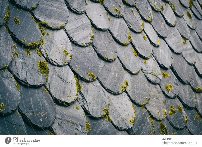 roof with old dark colored tiles, between black and gray. perspective texture copy space horizontal protection simplicity strength faded covering roofing