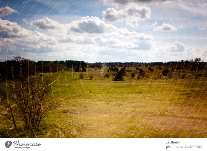 Landscape in Brandenburg altocumulus Vantage point Twilight Closing time Field far vision mountain Sky Horizon Hill Climate Climate change Deserted voyage