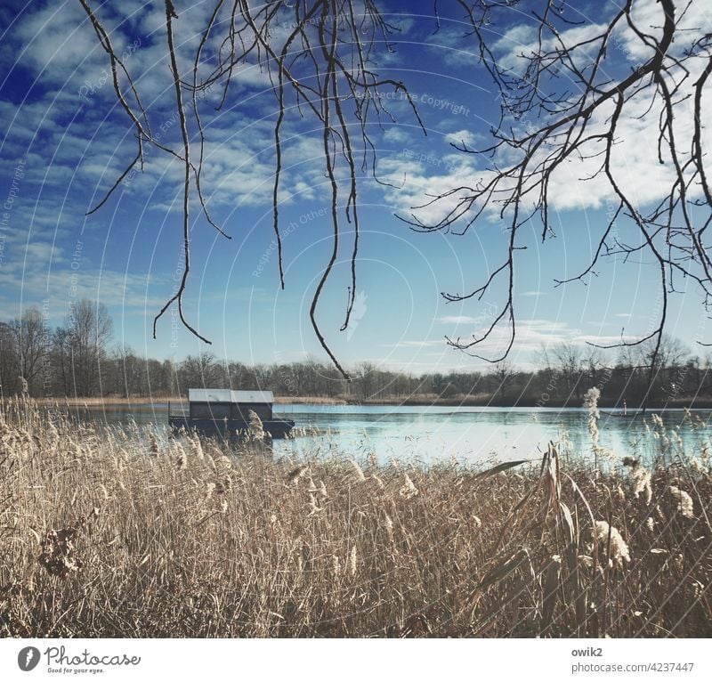 temporise Houseboat Surface of water Watercraft wide Idyll tranquillity Lake Reflection Nature out Exterior shot Sky Clouds Calm Environment Landscape Sunlight