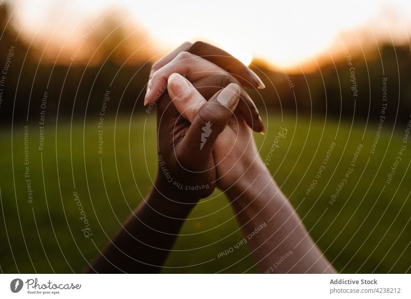 Crop diverse women holding hands against sunset sun unity concept tolerance freedom together support respect solidarity multiethnic multiracial black friend