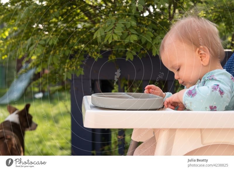 One year old baby eating outside in backyard while seated in high chair; deck and pet dog in background toddler child 6-12 months old 1 year old homemade