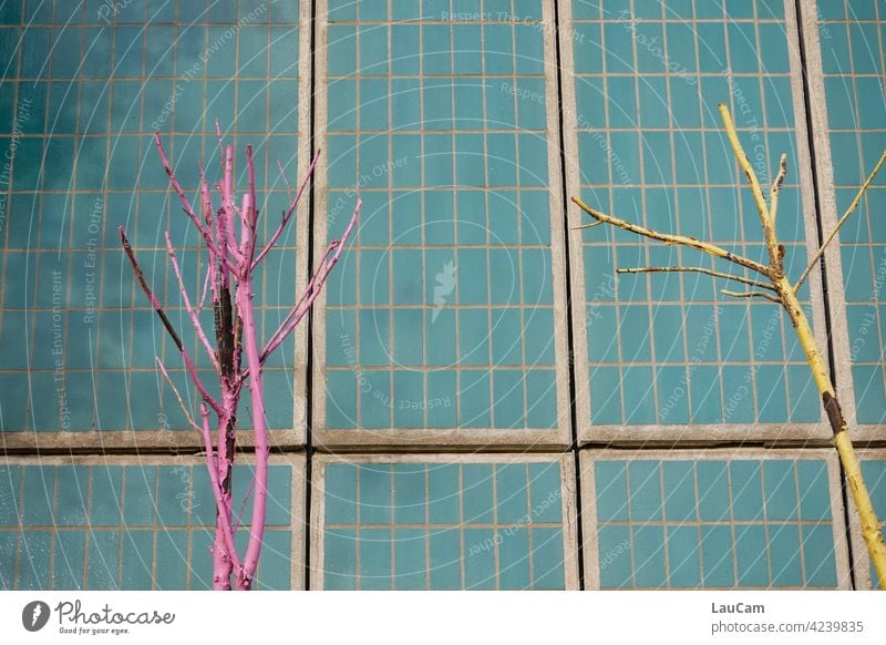 Colorful bare trees in front of a turquoise tile wall variegated tiles Tile Wall Pink Yellow Turquoise Multicoloured Colour photo Wall (building) Pattern Facade