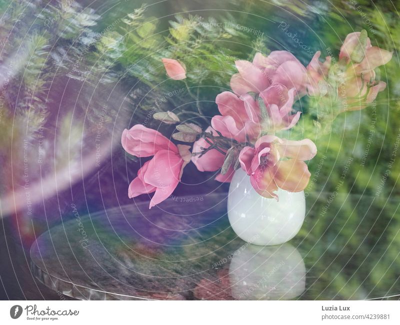 Magnolia bouquet in white vase on a coffee table, photographed through the window pane with reflections of the foliage of the street trees magnolia