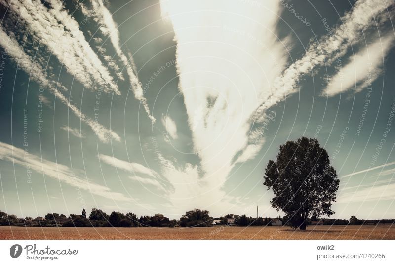 gegend Landscape panorama Nature Outdoors Sky Tree Environment Clouds Light (Natural Phenomenon) Horizon Mystic Beautiful weather Sunlight Deserted