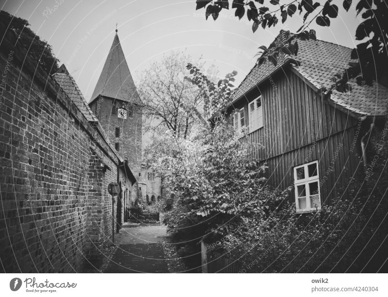 Ebstorf Village Church Church spire Wall (barrier) Wall (building) monastery wall Brick brick wall House (Residential Structure) Window rural Idyll Bushes Tree