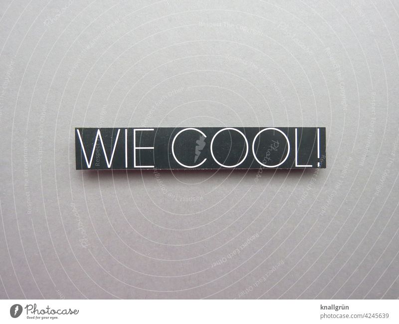 How cool! Cool (slang) Youth (Young adults) Language Communicate Characters Word Letters (alphabet) Typography Text communication Compromise Communication