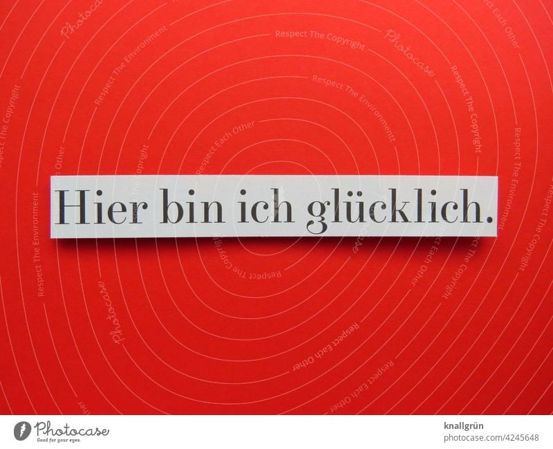 I'm happy here. Happy Contentment Joie de vivre (Vitality) Joy Happiness Emotions Moody Enthusiasm Euphoria Colour photo Optimism Human being Communicate